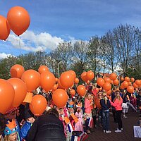 Koningsdag 2015 - 84 30520 5aa6ab5ba4